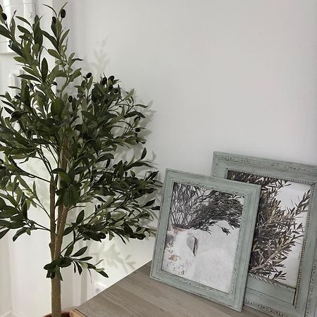 El Olivo Verde Jaén Zewnętrze zdjęcie